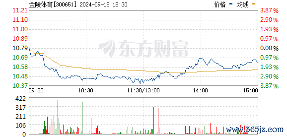 R图 300651_0